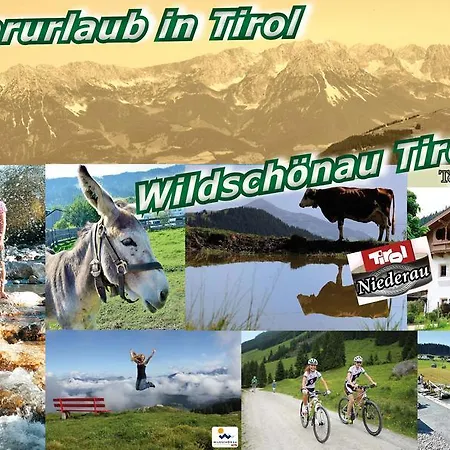 Tennladen Niederau