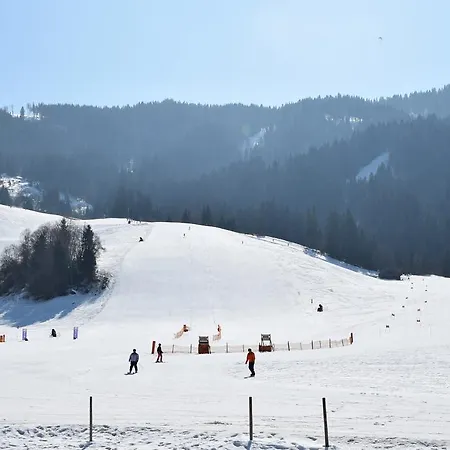 Tennladen * Niederau