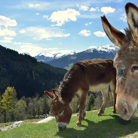 아파트 Tennladen *