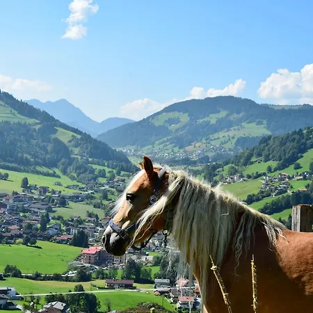 아파트 Tennladen *